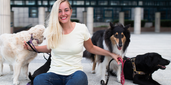 happy teen dog walker with three dogs