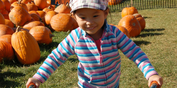 ideas for fun fall gatherings - little girl having fun at a pumpkin patch
