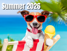 Holiday Activities & Events Planning Center